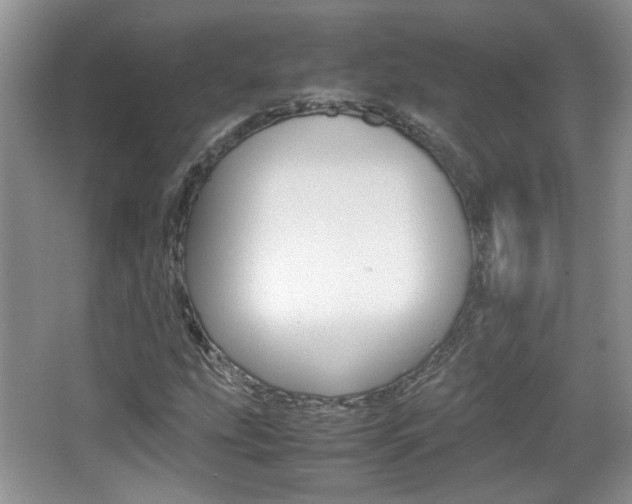 X0000067871207200604131006
