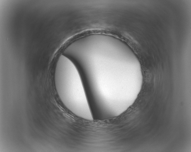 X0000067871208200604131006