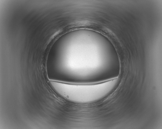 X0000067871210200604131006