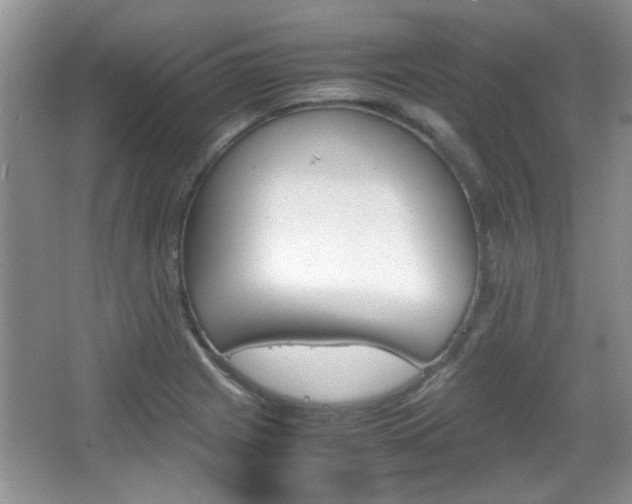 X0000067871225200604131006