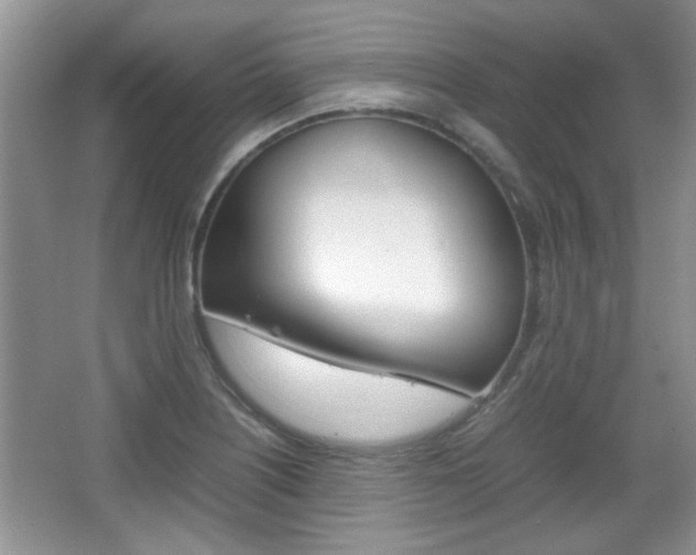 X0000067871226200604131006