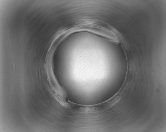 X0000067871234200604131006