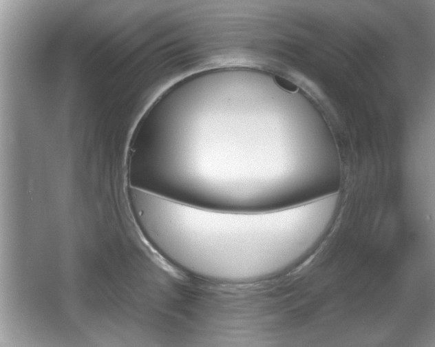 X0000067871236200604131006