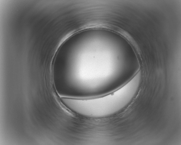 X0000067871242200604131006