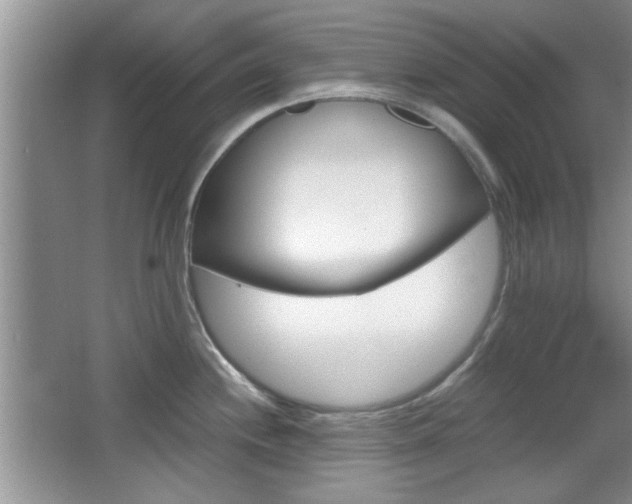 X0000067871244200604131006
