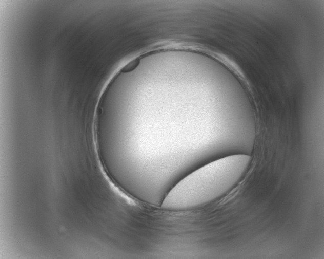X0000067871247200604131006