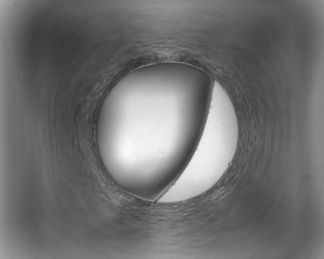 X0000067871249200604131006