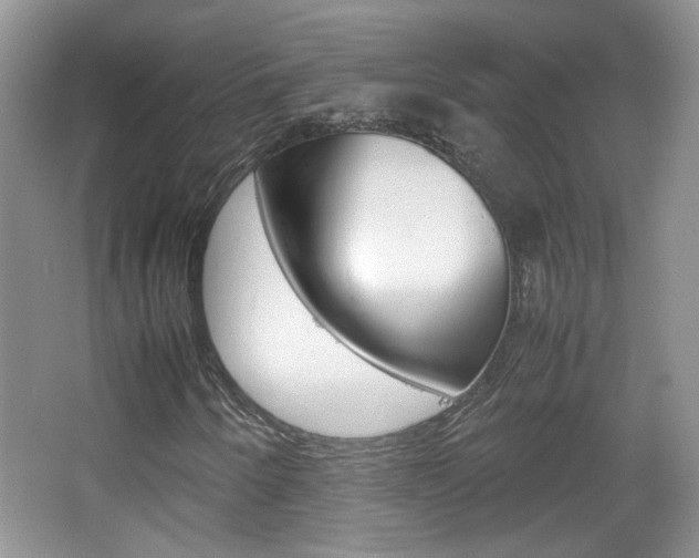 X0000067871250200604131006