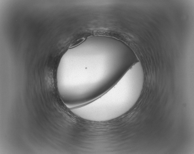 X0000067871252200604131005