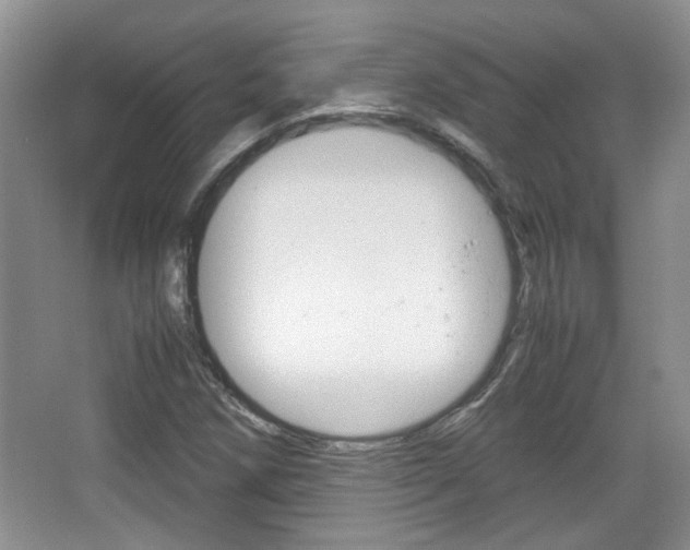 X0000067871258200604131005