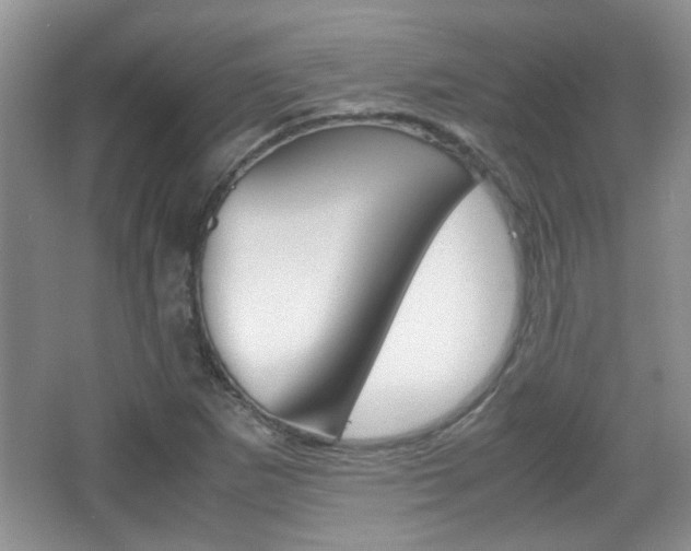 X0000067871265200604131005