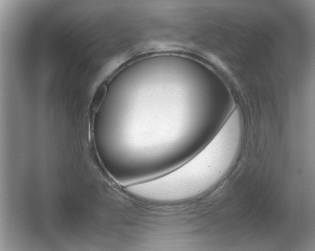 X0000067871269200604131005