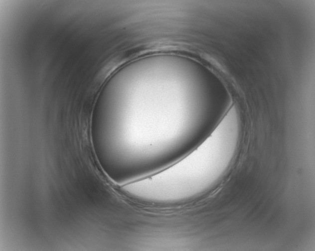 X0000067871273200604131005
