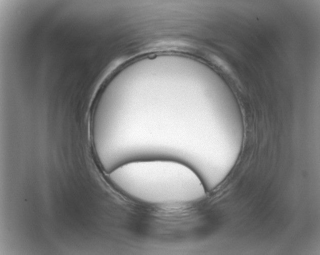 X0000067871275200604131005