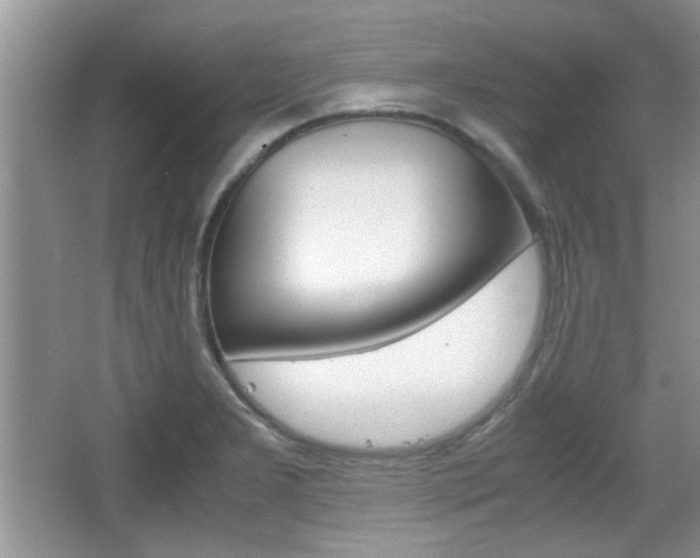 X0000067871277200604131005
