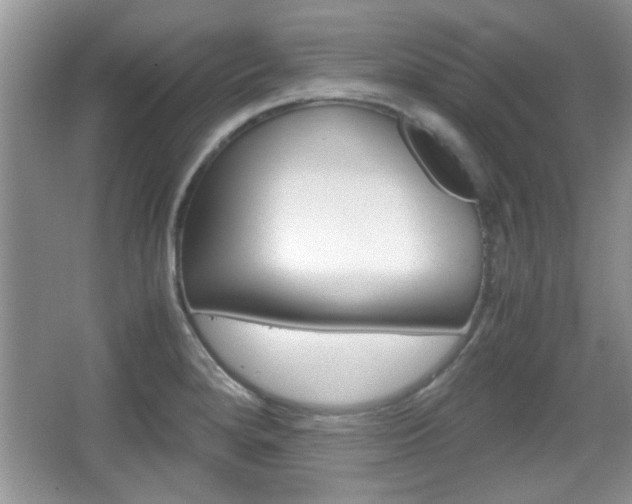 X0000067871280200604131005