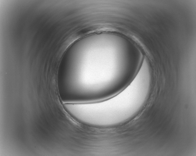 X0000067871281200604131005