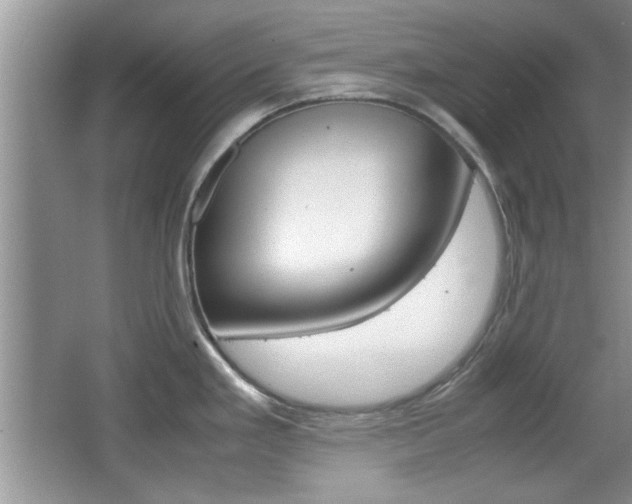 X0000067871293200604131005