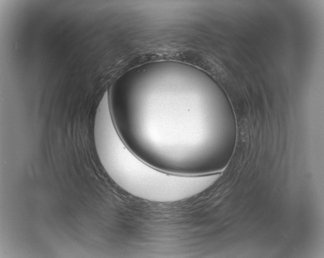 X0000067871298200604131004