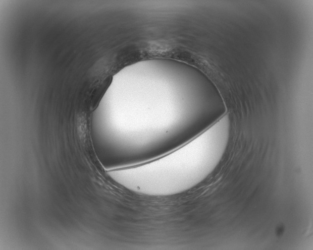 X0000067871299200604131004