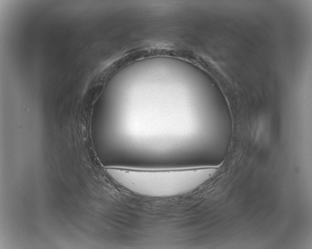 X0000067871303200604131004