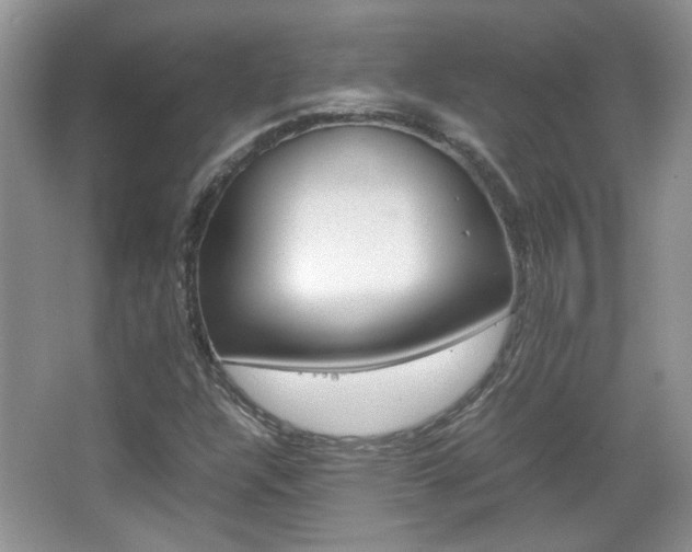 X0000067871304200604131004