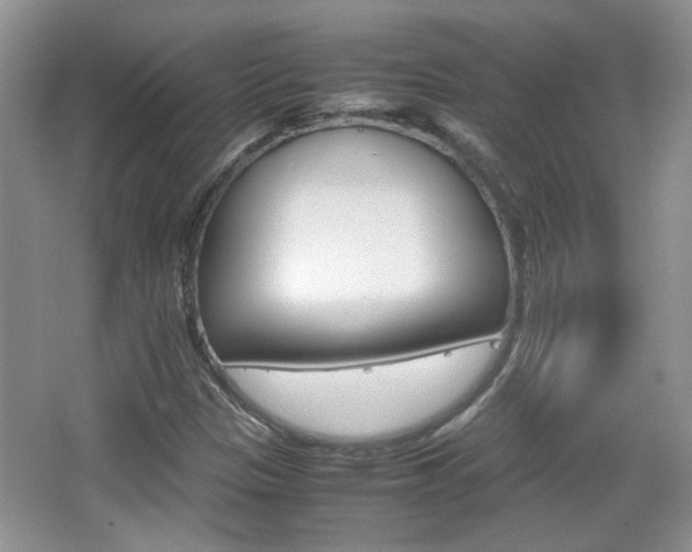 X0000067871305200604131004