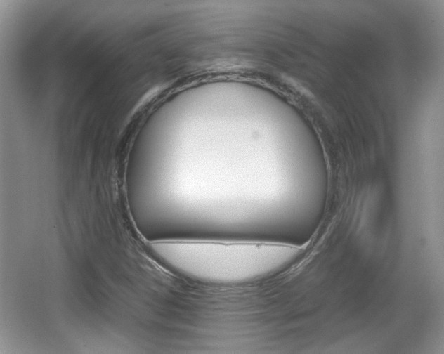 X0000067871306200604131004