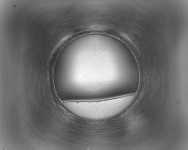 X0000067871307200604131004