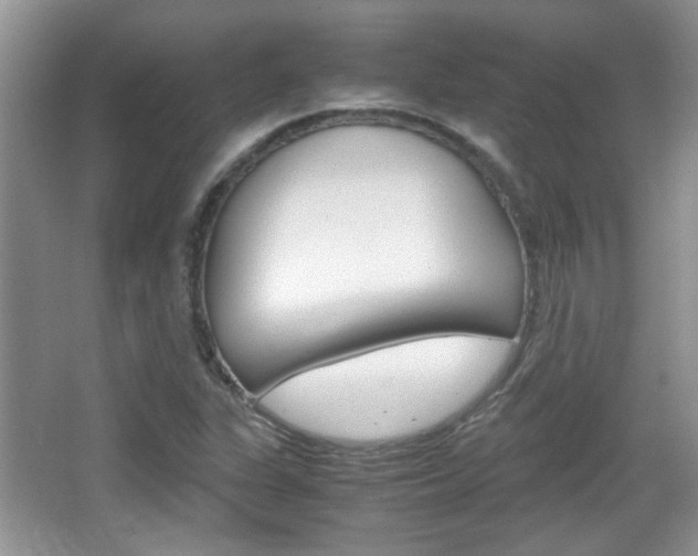 X0000067871311200604131004