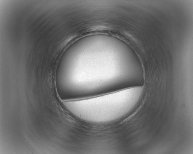 X0000067871313200604131004
