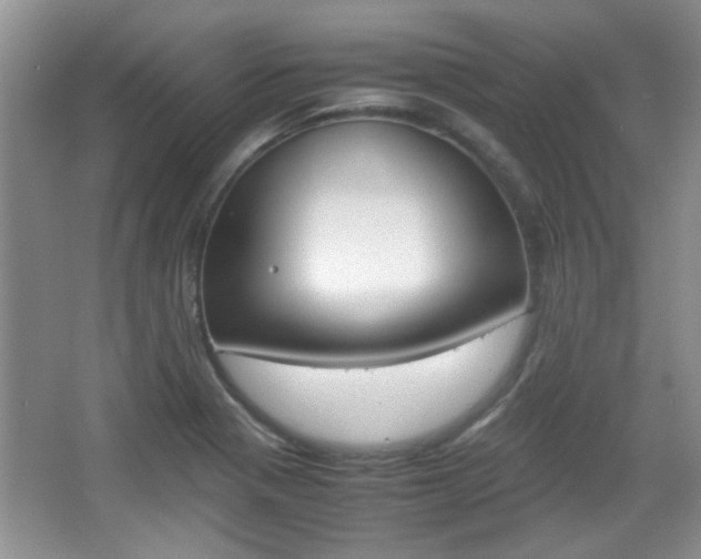 X0000067871321200604131004