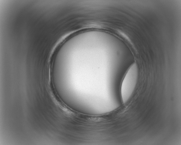 X0000067871323200604131004