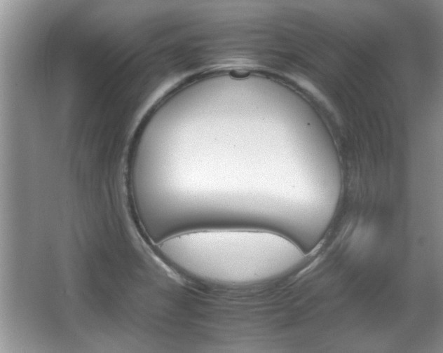 X0000067871325200604131004