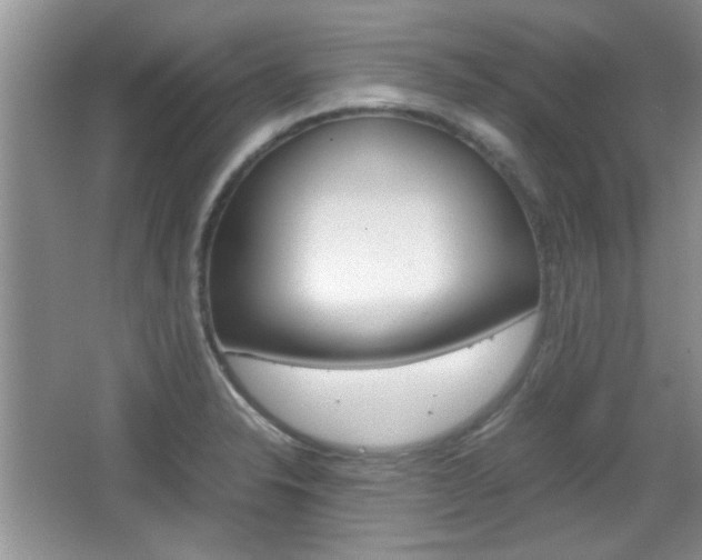 X0000067871326200604131004