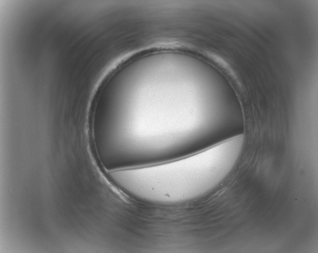 X0000067871327200604131004