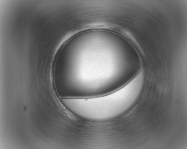 X0000067871328200604131004