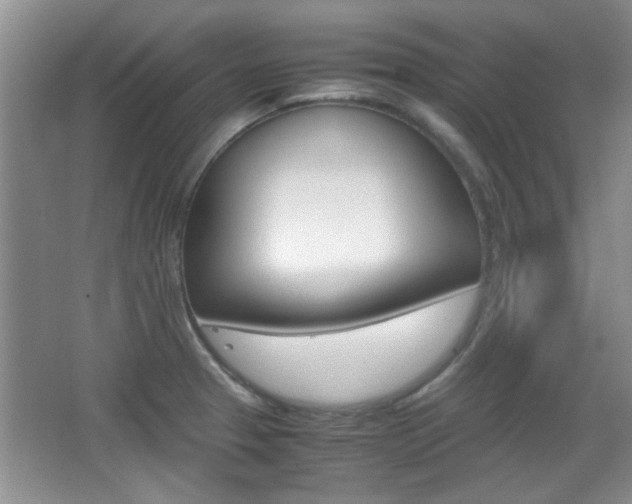 X0000067871329200604131004