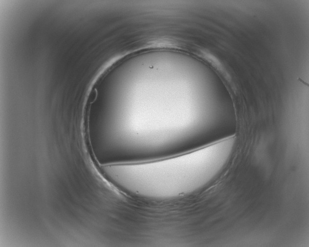 X0000067871331200604131005