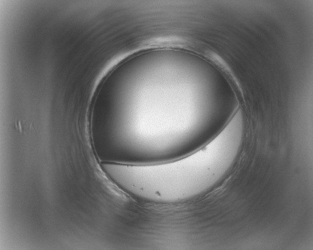 X0000067871336200604131005