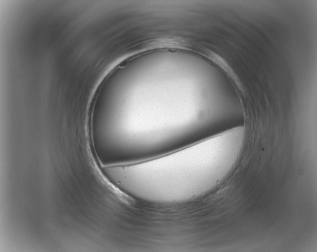 X0000067871339200604131005
