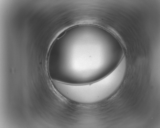 X0000067871340200604131005