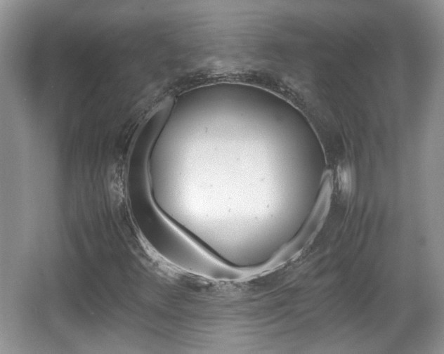X0000067871348200604131004