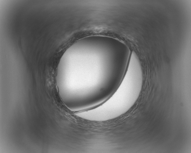 X0000067871349200604131004