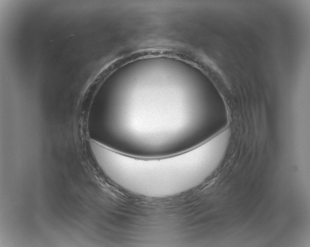 X0000067871352200604131004