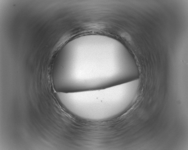 X0000067871354200604131004