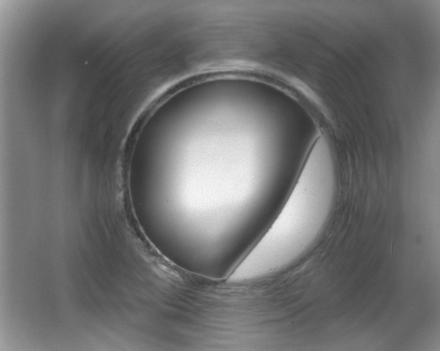 X0000067871364200604131004