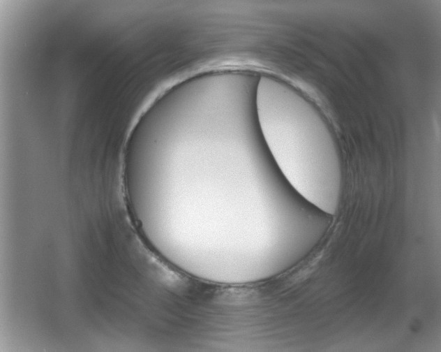 X0000067871374200604131003