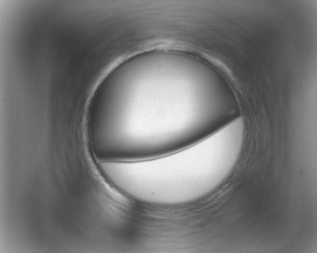 X0000067871375200604131003