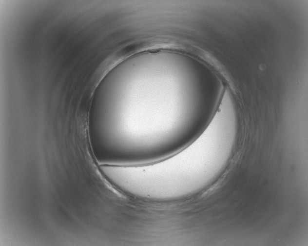 X0000067871377200604131003